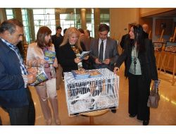 İskenderun Güvercini. İlgi Odağı Oldu