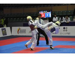 Ümitlerden, 'Avrupa Taekwondo Şampiyonası'nda 12 Madalya