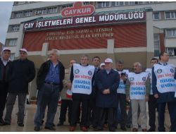 ÇAYKUR İŞÇİSİ GREVE BAŞLADI!