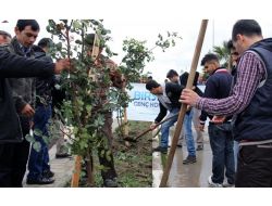 Mkü'de Kutlu Doğum Ormanı Oluşturuldu