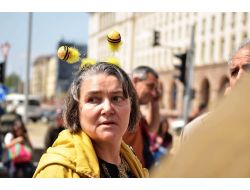 Başbakanlık Binası Önünde Arılı Eylem