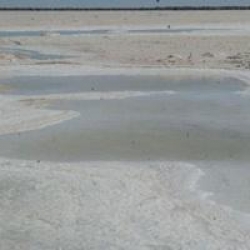 "Orta Doğu Su Kriziyle Karşı Karşıya"