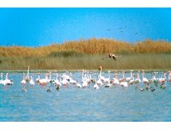 İran’dan Hazar İçin İşbirliği Çağrısı