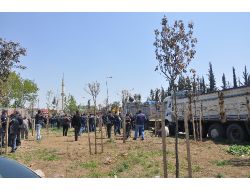 Kamyoncular Yol Kapatıp Eylem Yaptı