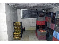 Ayıların Yiyecekleri İçin Soğuk Hava Deposu