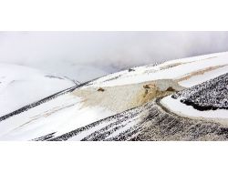 Muş’ta Karla Mücadele Devam Ediyor