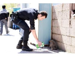 Polis Ve Esnaf Yaralı Köpeğe Yardım İçin Koştu