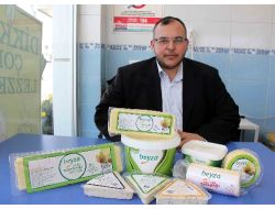 Beyza, Süt Ürünleri Sektörüne Girdi