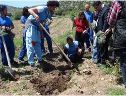 Burdur Gölü'ndeki Çekilmeye Lavanta Çözümü