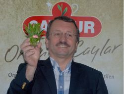 Sütlüoğlu: İşçilerimiz Sendikanın Grev Kararına Karşı Grev Yapmıştır