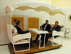 Bu Kamelya İle Stres Atıyorsunuz