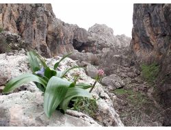 Güneydoğu Dağları Baharda Bir Başka Güzel