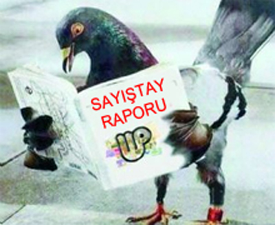 Talih kuşunu böyle yolmuşlar!..