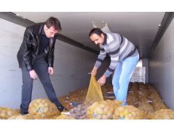 Nevşehir’de 320 Bin Ton Patates Üretiliyor