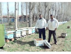 Arılara İlkbahar Bakımı Başladı