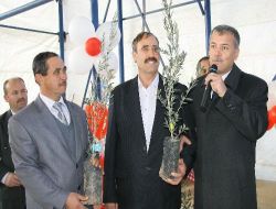 Muğla'da Köylülere 4 Bin Adet Zeytin Fidanı Dağıtıldı