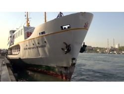 Vapur Kazasında Yaralılar Var