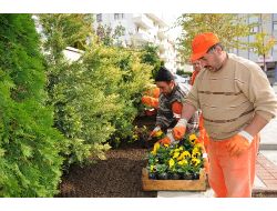 Pursaklar, Çiçek Açtı