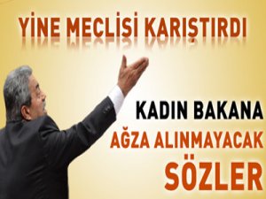 YİNE MECLİSİ KARIŞTIRDI!..