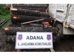 Adana'da Ormanda Kaçak Kesim Yapan İki Kişi Yakalandı