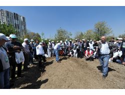 ANKARA'DA BAHÇIVANLAR SAHAYA İNDİ