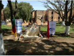 Bürokratlar Kamerun'da Su Kuyusu Açtı