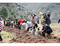 Ergan Dağı'nda Ağaçlandırma Seferberliği Başladı