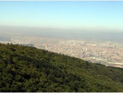 Bursa’nın Yüzde 45’i Orman