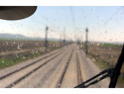 Kuşlar Yüksek Hızlı Trene Alıştı, Sinekler Hâlâ Sıkıntı (Özel)