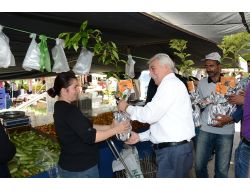 Büyükşehir 20 Bin Turunç Fidanı Dağıttı