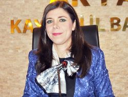 Milletvekili Bakır: Akpm’nin Türkiye Raporu Vicdansızlıktır, Kınıyorum