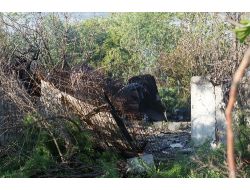 Küçükçekmece’de Baraka Yangını: 1 Ölü