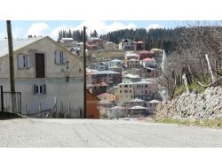 Gecekondu Siluetli Yaylalar