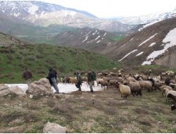 Şemdinlide Kaçakçılık Operasyonu