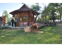 Çürük Ağaç, Piknik Yapanların Üzerine Devrildi: 1 Ölü, 1 Yaralı