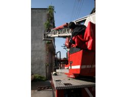 Kurtarmak İçin İtfaiyenin Seferber Olduğu Kedi, Diğer Evin Çatısına Sıçradı