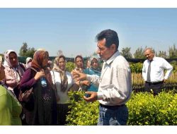 Mersin'de Kadın Çiftçiler Eğitiliyor