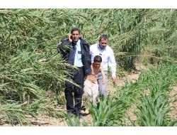 Haberciliği Bırakıp, Can Kurtardı