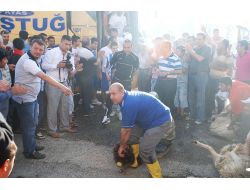 Şampiyona Coşkulu Karşılama