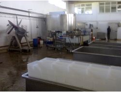 Sağlıksız Şartlarda Peynir Üreten İşletmeye 20 Bin Lira Para Cezası Verildi