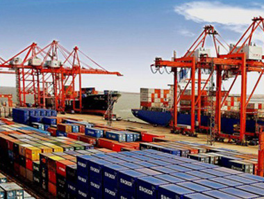 170 bin koli muza ne oldu?