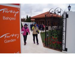 Güney Kore’deki Türk Bahçesi’ne Yoğun İlgi