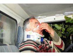 Yol Kenarındaki Ağaca Çarptı, Kamyonet İçinde Sıkıştı