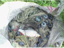 Kaçak Avlanma Balık Neslini Tehdit Ediyor