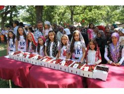 ÇİLEK FESTİVALİ 2 HAZİRAN'DA..