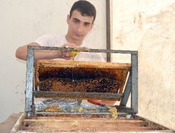 Sezonun İlk Bal Hasadı Yapıldı, Bu Yıl Rekoltenin Düşük Olması Bekleniyor
