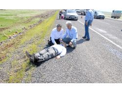 Otomobil Takla Attı: 1 Ölü, 3 Yaralı