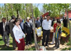 Bakan Yılmaz: 'Çözüm Süreciyle Doğu Ve Güneydoğu'da Göç Tersine Dönecek'