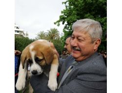 Akaydın’dan ‘duman’ın Öldürülmesine Tepki
