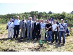 Cihan Çalışanları, Başakşehir’de Fidan Dikti